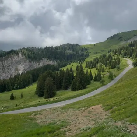 Vue Montagne Vignoble Cosy Valais Chamoson