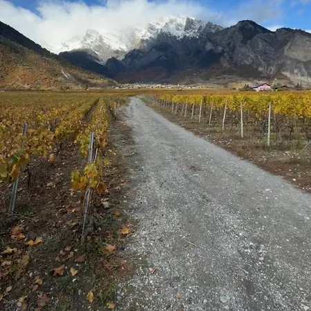 Vue Montagne Vignoble Cosy Valais * Chamoson