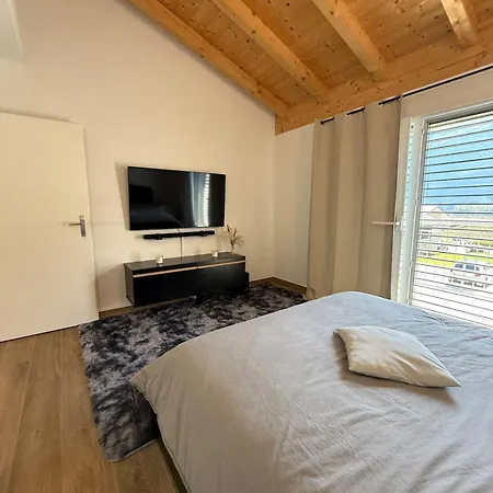 Vue Montagne Vignoble Cosy Valais *