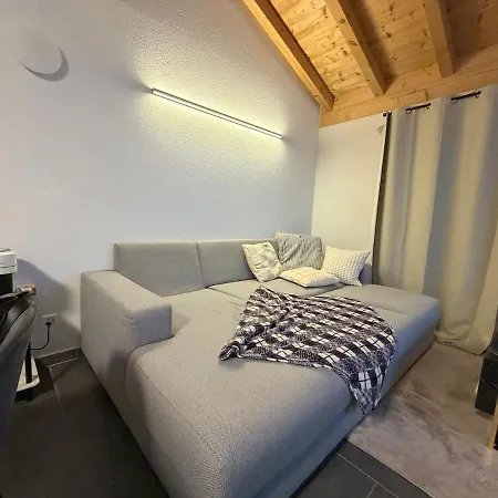 Vue Montagne Vignoble Cosy Valais