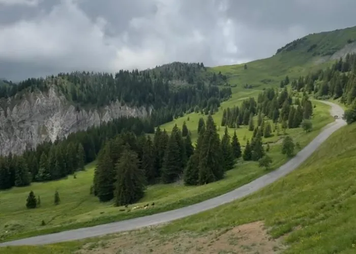 Cozy En Valais Chamoson