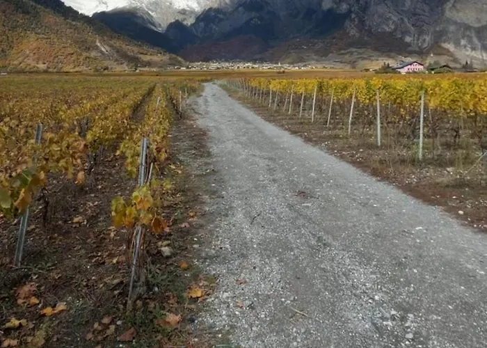 Cozy En Valais * Chamoson