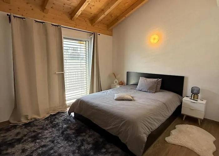 Daire Cozy En Valais